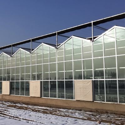 Glass Greenhouse Glass Greenhouse