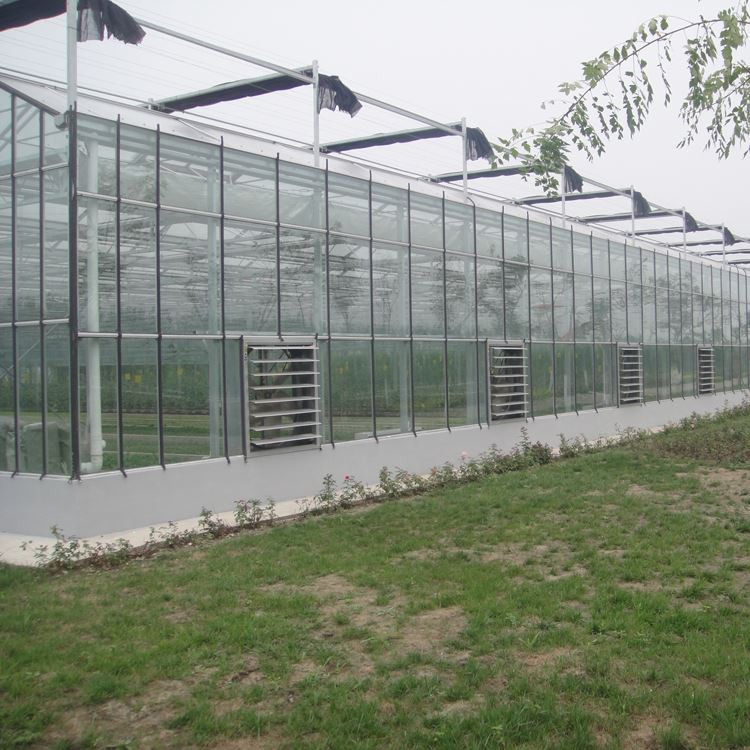 tunnel glass greenhouse tunnel glass greenhouse