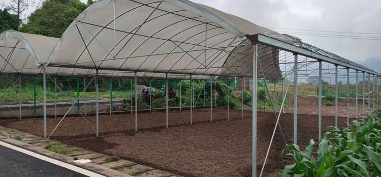 Flexible watering while watching the sky during the construction of a solar greenhouse with columns Flexible watering while watching the sky during the construction of a solar greenhouse with columns