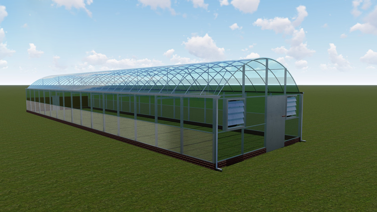 How to fertilize off-season vegetables in greenhouses How to fertilize off-season vegetables in greenhouses