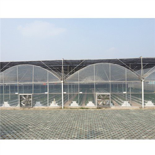 200 Micron Greenhouse Plastik