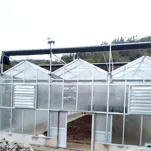 Agrikòl Venlo Kalite Glass Greenhouse