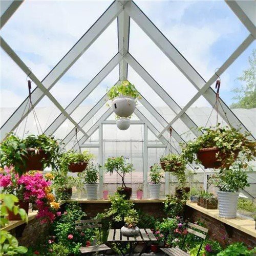 Magazen Greenhouse Jaden