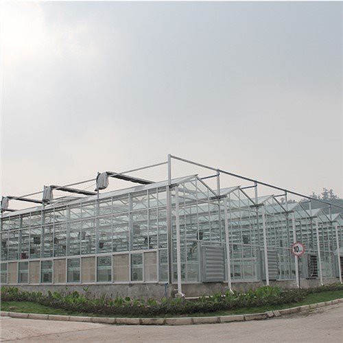 Greenhouse Fèy Polikarbonat