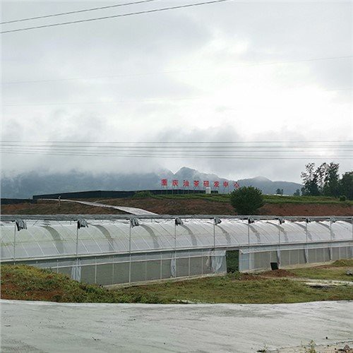 Ranfòse Greenhouse plastik