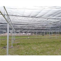 Ti Greenhouse Polythene