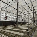Sistèm Hydroponic Greenhouse